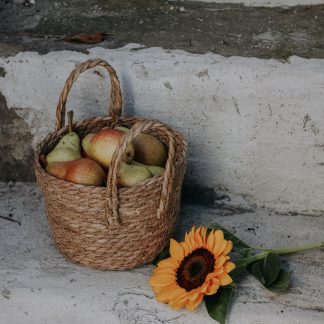 Fruit Basket Subscription