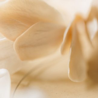 Vanilla Coffee